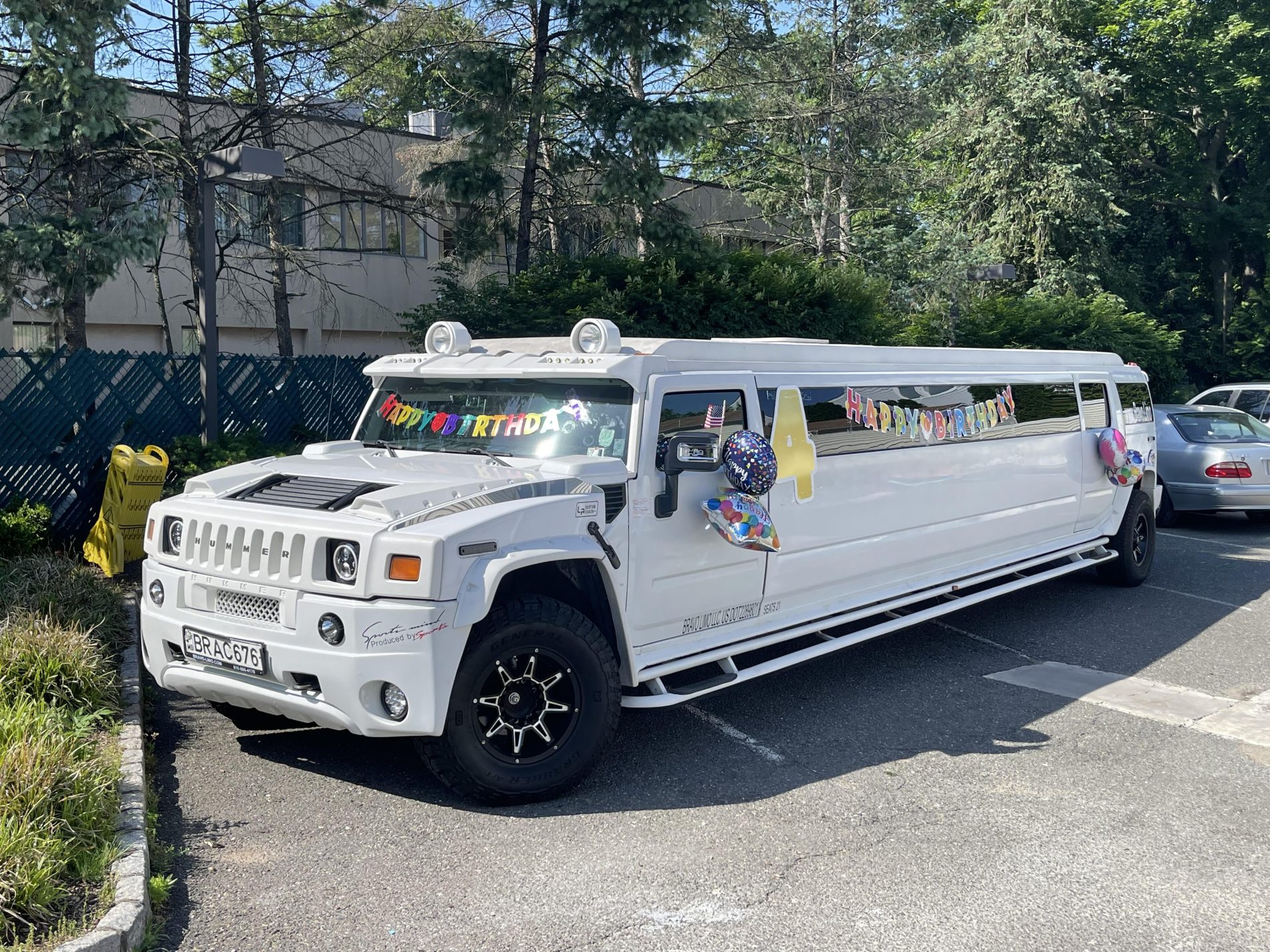 Limo Birthday Hudson